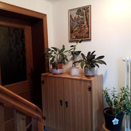 Haus Hubertusheim Lejlighed Schladming Eksteriør billede