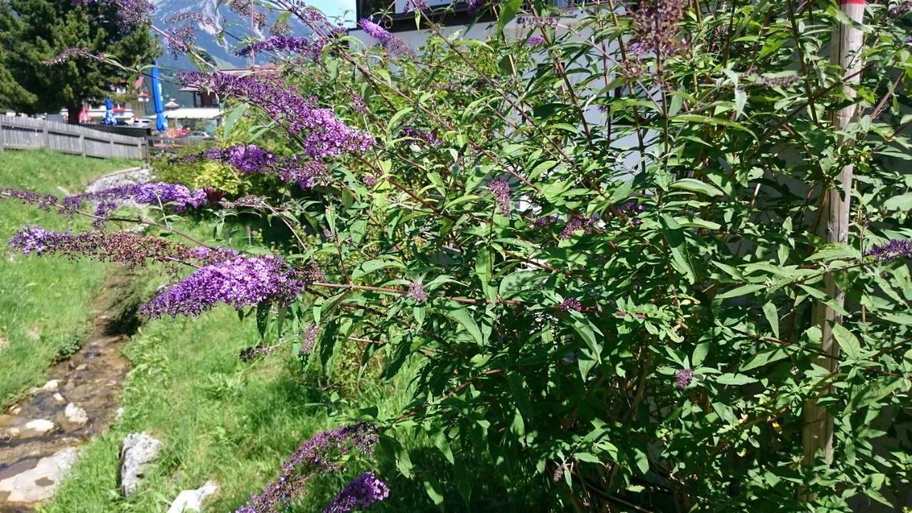 Haus Hubertusheim Lejlighed Schladming Eksteriør billede