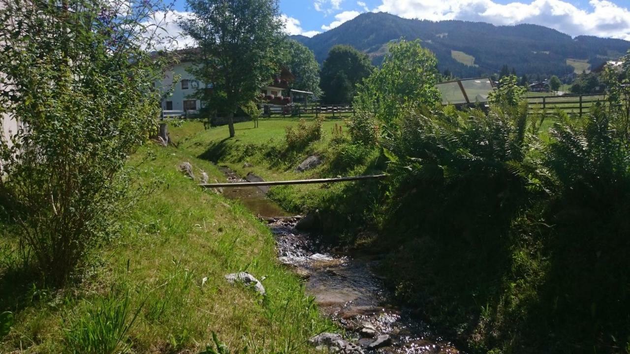 Haus Hubertusheim Lejlighed Schladming Eksteriør billede